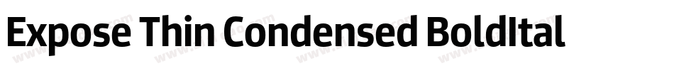 Expose Thin Condensed BoldItalic字体转换